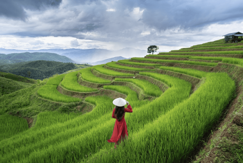 Both Vietnam and the Philippines share similar weather characteristics due to their tropical climates